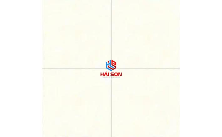 GẠCH L&Aacute;T NỀN 60X60 CMC B&Oacute;NG K&Iacute;NH 56S4